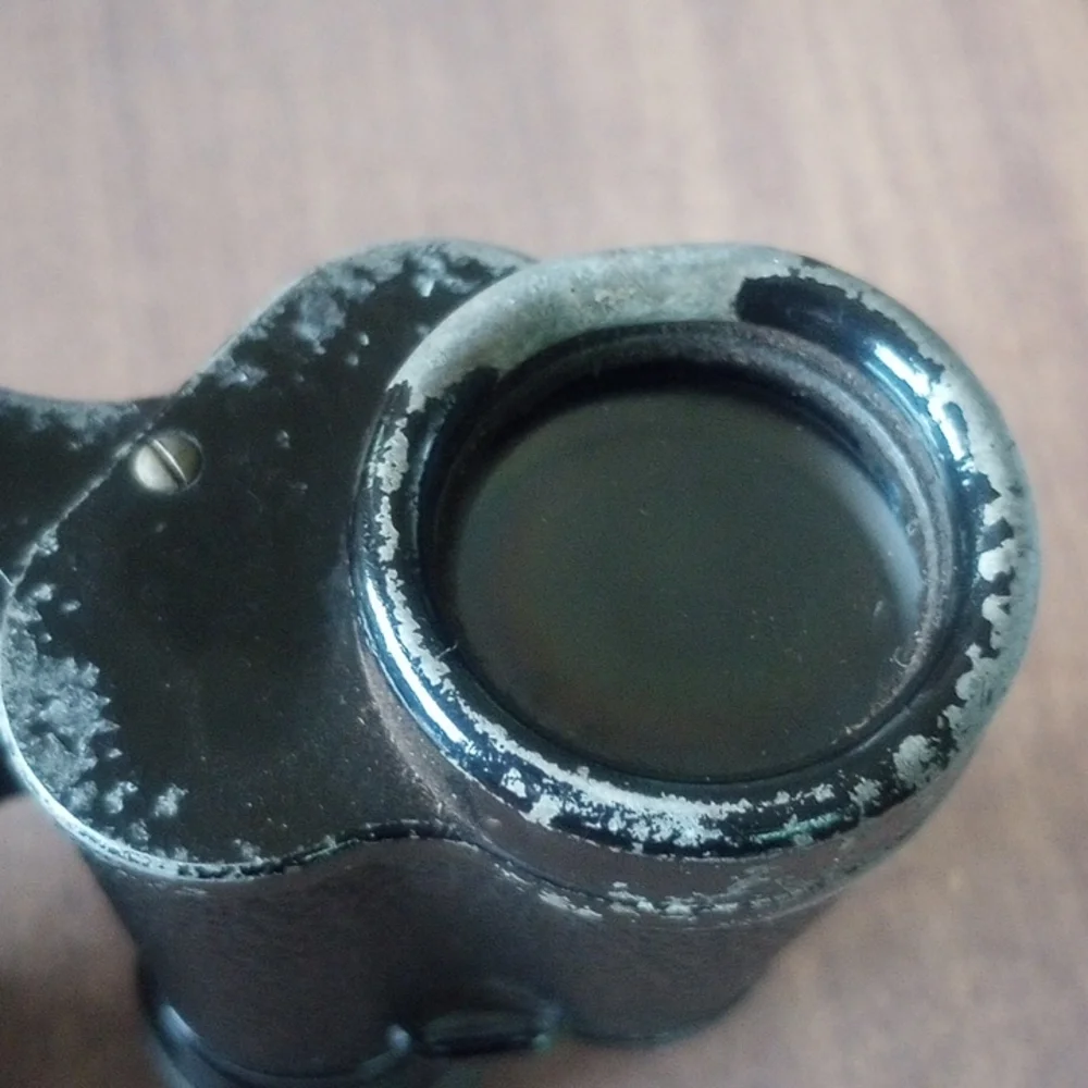CARL ZEISS Jena DELTRENTIS 8x30 Binoculars (circa 1924)
